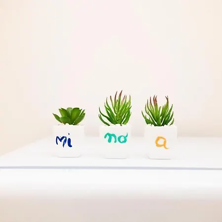 Apartman Minoa *